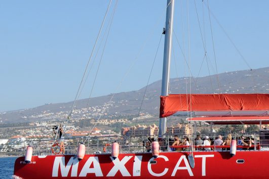 Maxicat