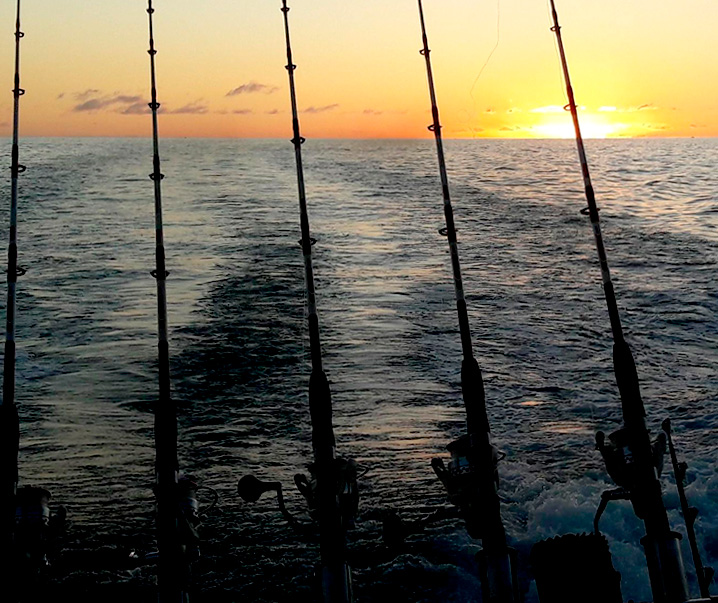 No Limit - Pêche à Tenerife