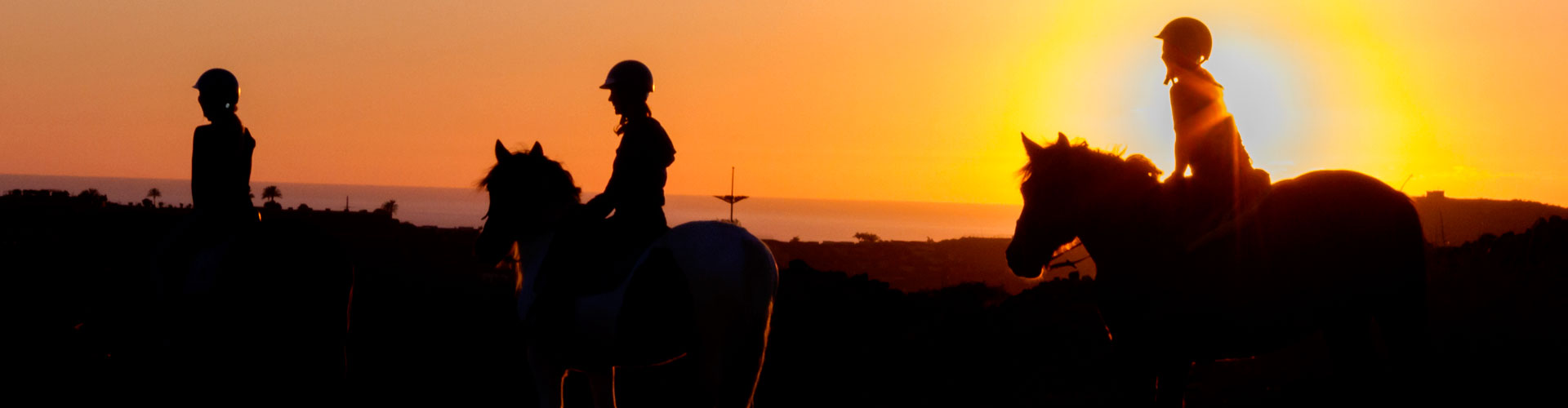 Balades à Cheval