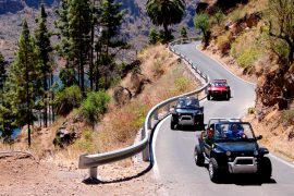 Jeep Safari